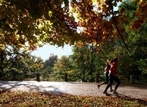 Senior Fall Fitness-Running