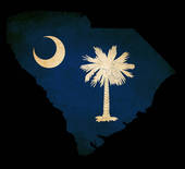 South Carolina Flag